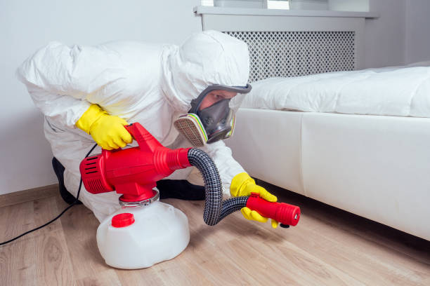 Best Bed Bug Extermination  in Ivanhoe, TX